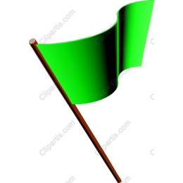 Vibrant Green Flag