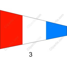 Vibrant Triangular Flag