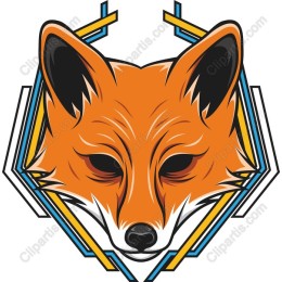 Geometric Fox