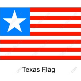 Texas Flag