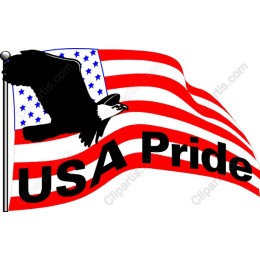 USA Pride