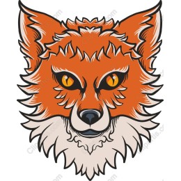 Vibrant Fox Face