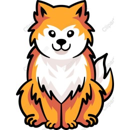 Fluffy Dog