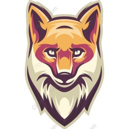 Vibrant Fox