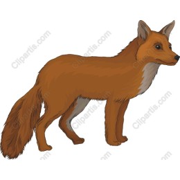 Charming Fox
