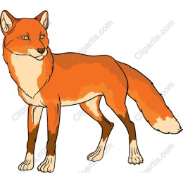 Vibrant Fox