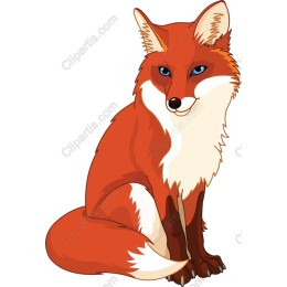 Charming Red Fox