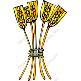 Golden Wheat Bundle