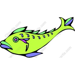 Vibrant Fish