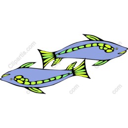 Colorful Fish