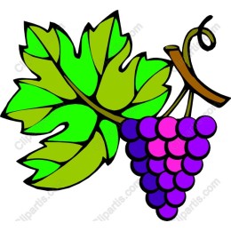 Stylish Grape with Leaf