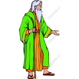 Wise Elder