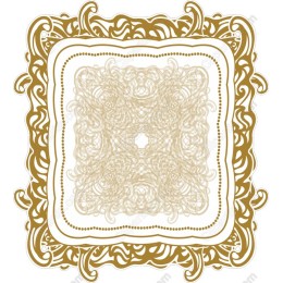 Elegant Ornate Frame