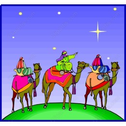 Vibrant Camel Caravan