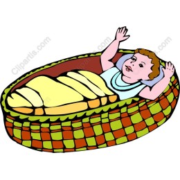Cozy Baby in Woven Basket