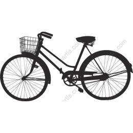 Vintage Bicycle