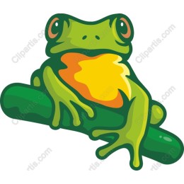 Vibrant Tree Frog