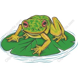 Lily Pad Frog