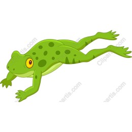 Charming Green Cartoon Frog