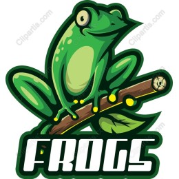 Vibrant Frog