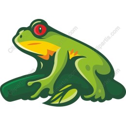 Vibrant Green Frog