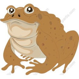 Charming Frog