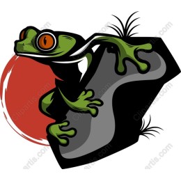Lively Green Frog