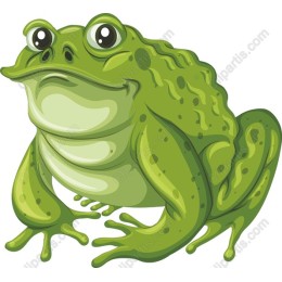 Vibrant Green Frog