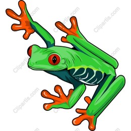 Vibrant Green Tree Frog