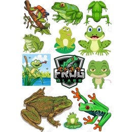Frog Clipart Bundle: s
