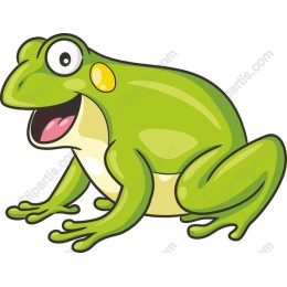 Cartoon Frog