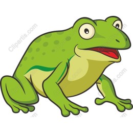 Vibrant Green Frog