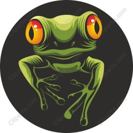 Tropical Tree Frog