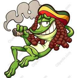 Rasta Frog