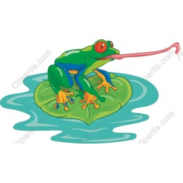 Frog on Lily Pad