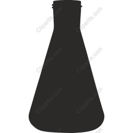 Elegant Laboratory Flask