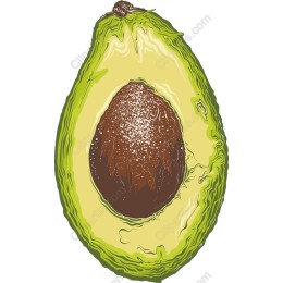 Fresh Avocado