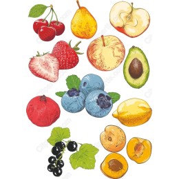 Fruit Set - Hand-Drawn s