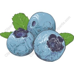 Vibrant Blueberries