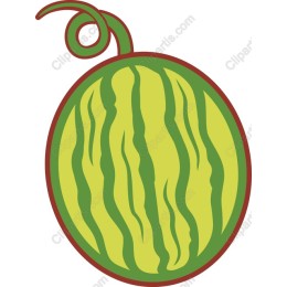  Watermelon