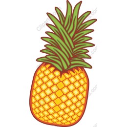 Vibrant Pineapple