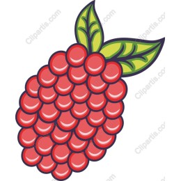 Vibrant Raspberry