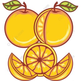 Vibrant Orange