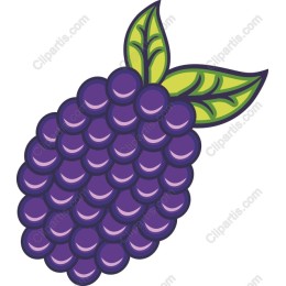 Juicy Blackberry
