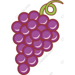 Vibrant Purple Grapes