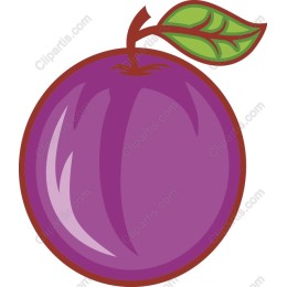 Luscious Purple Plum