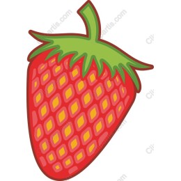 Vibrant Strawberry