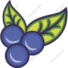 Fresh Blueberry