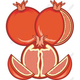 Vibrant Pomegranate