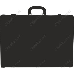 Professional Briefcase